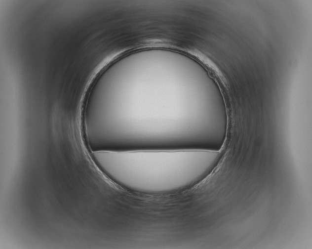 X0000113751333200909231124