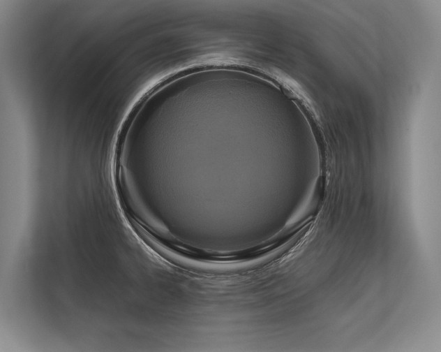 X0000113751334200909231124