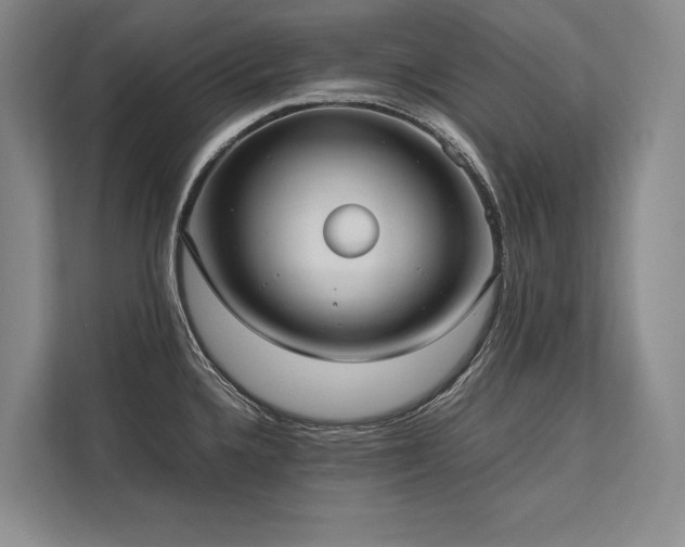 X0000113751336200909231124