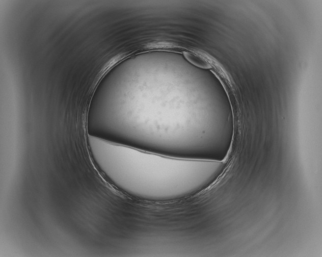 X0000113751337200909231124
