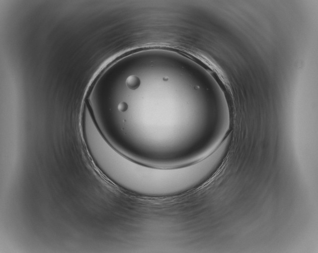X0000113751340200909231124