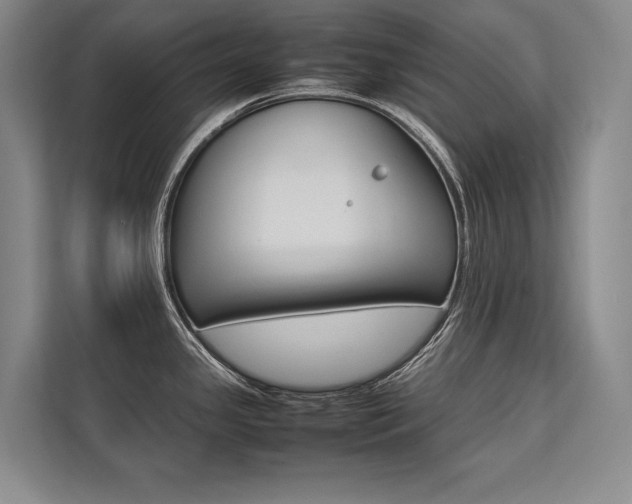 X0000113751341200909231124