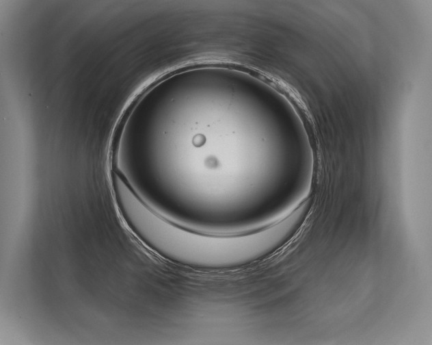 X0000113751342200909231124
