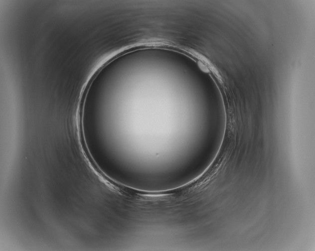 X0000113751343200909231124