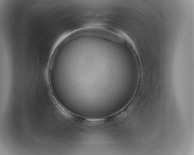 X0000113751344200909231124