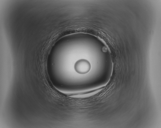 X0000113751345200909231123