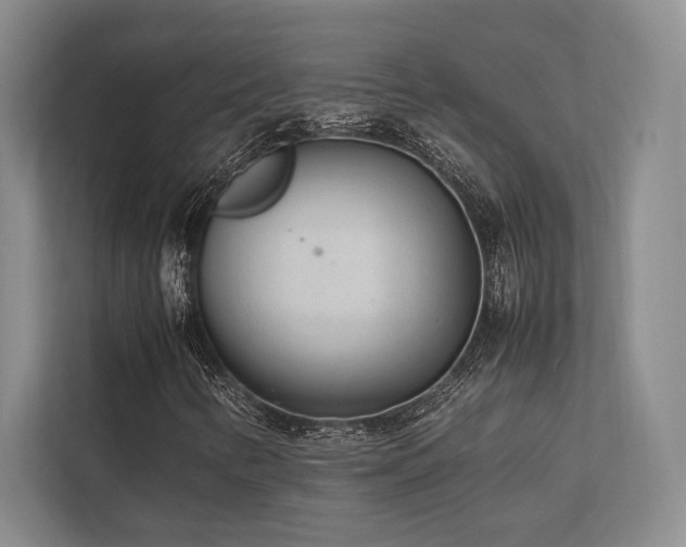 X0000113751346200909231123