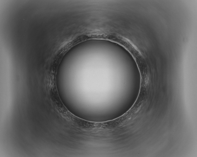 X0000113751350200909231123