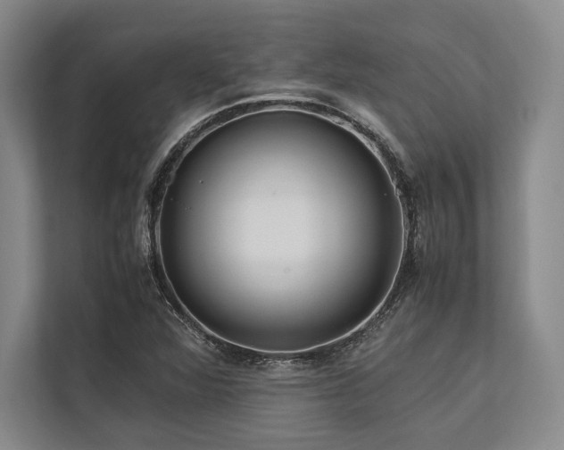 X0000113751360200909231123