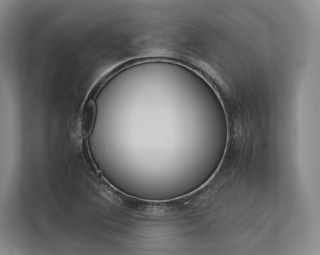 X0000113751364200909231123