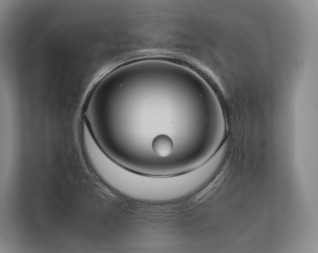 X0000113751365200909231123