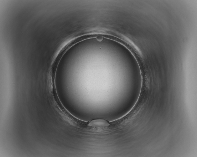 X0000113751368200909231123