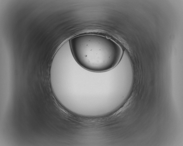 X0000113751369200909231123