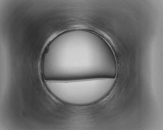X0000113751373200909231122