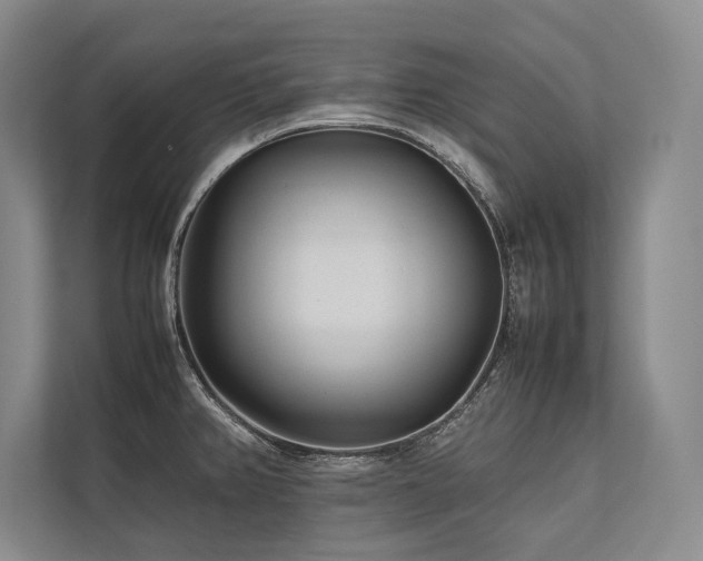 X0000113751382200909231122