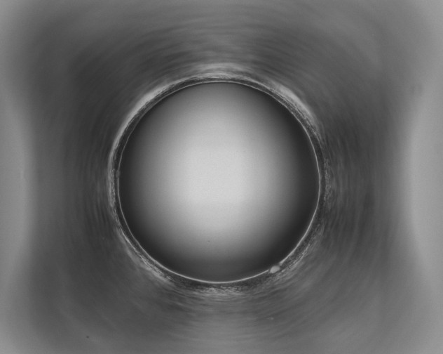 X0000113751384200909231122