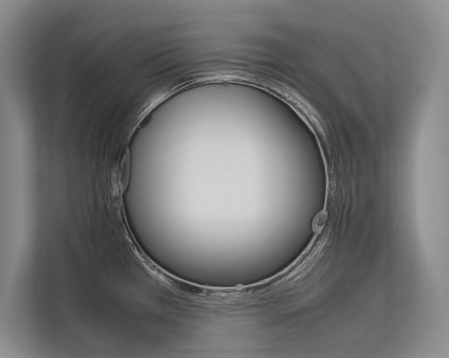 X0000113751385200909231122