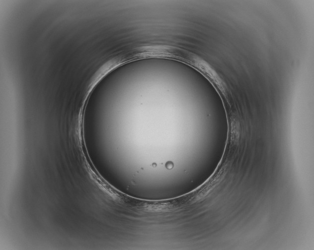 X0000113751386200909231122