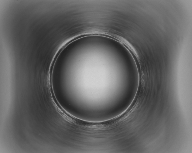 X0000113751388200909231122