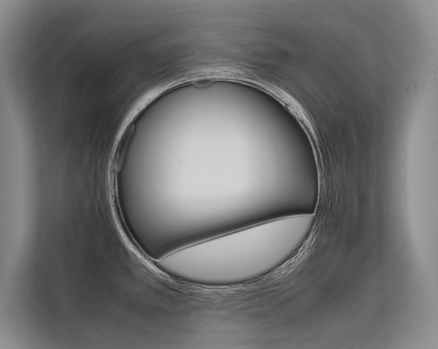 X0000113751389200909231122