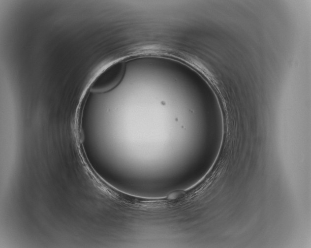 X0000113751392200909231122