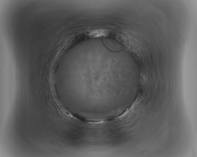 X0000113751393200909231122