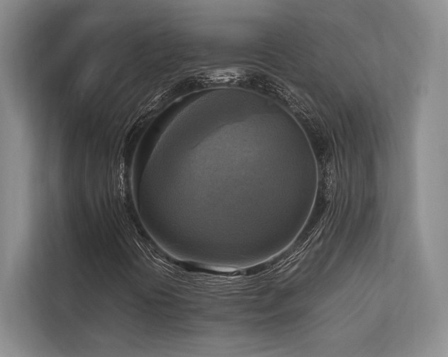 X0000113751394200909231122
