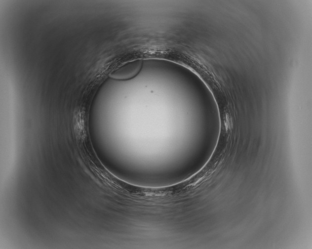 X0000113751396200909231122
