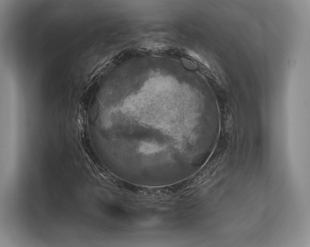 X0000113751397200909231122