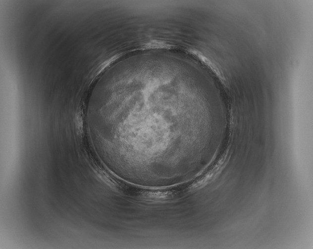 X0000113751401200909231122