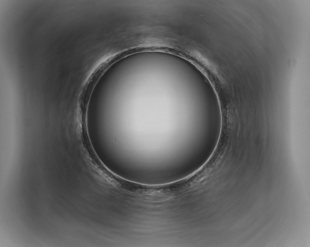 X0000113751408200909231122