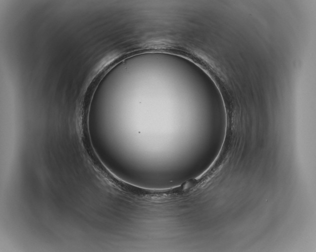X0000113751410200909231122
