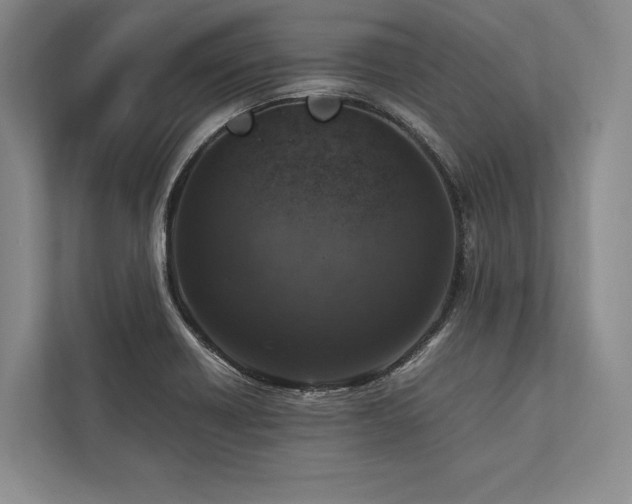 X0000113751418200909231122