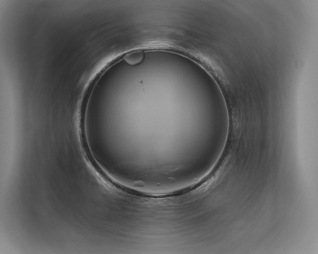 X0000113751422200909231122