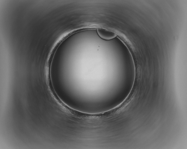 X0000113751424200909231122