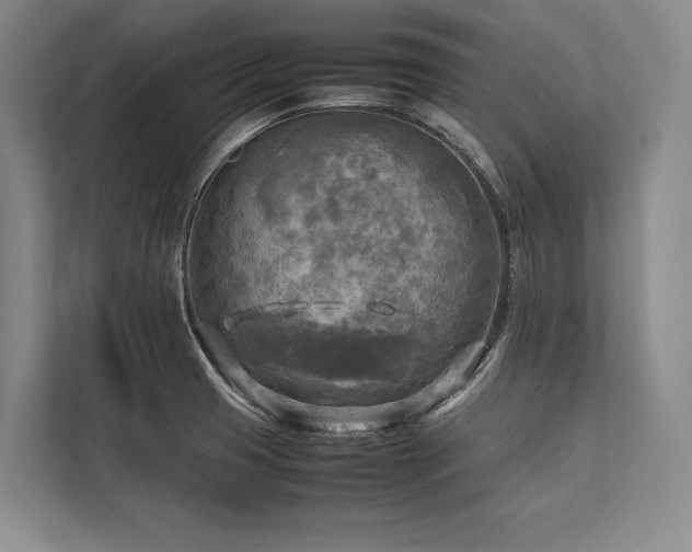 X0000113751425200909231122