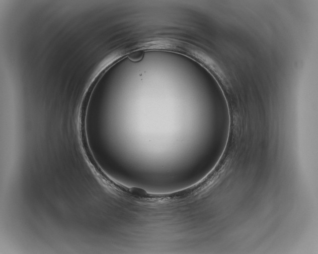 X0000113751426200909231122