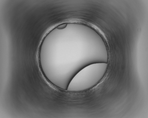 X0000113751429200909231122