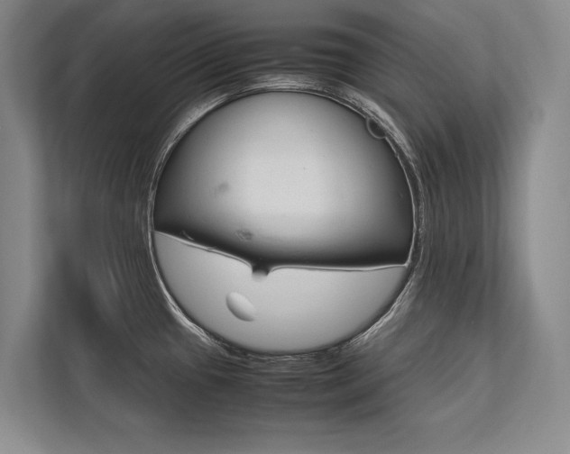 X0000113751433200909231122