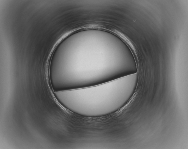 X0000113751437200909231122
