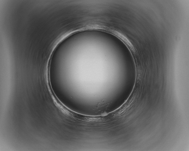 X0000113751439200909231122