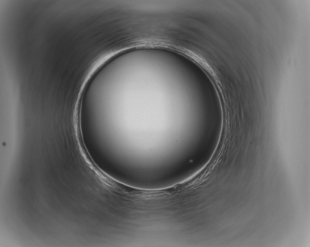 X0000113751440200909231122