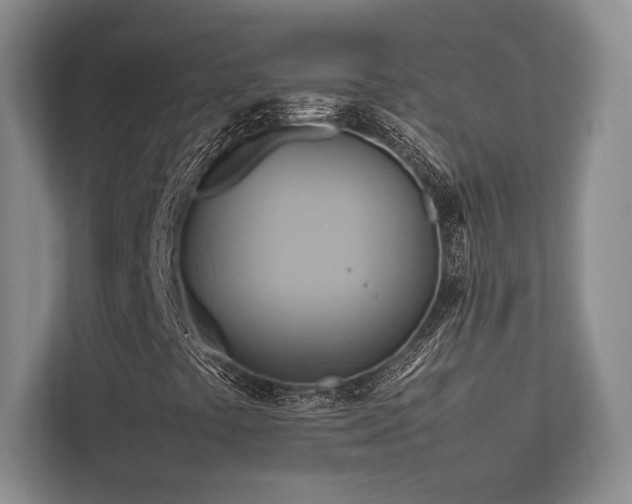 X0000113751441200909231122