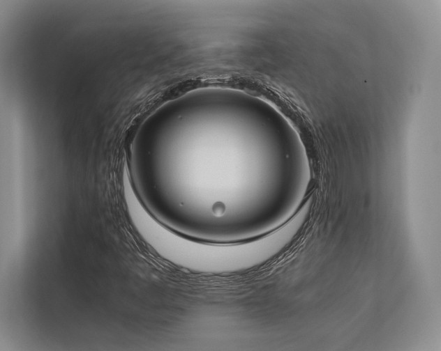 X0000113751445200909231122