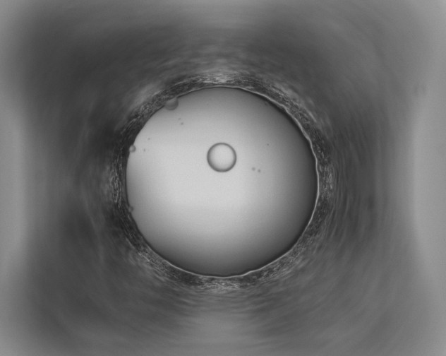 X0000113751446200909231122