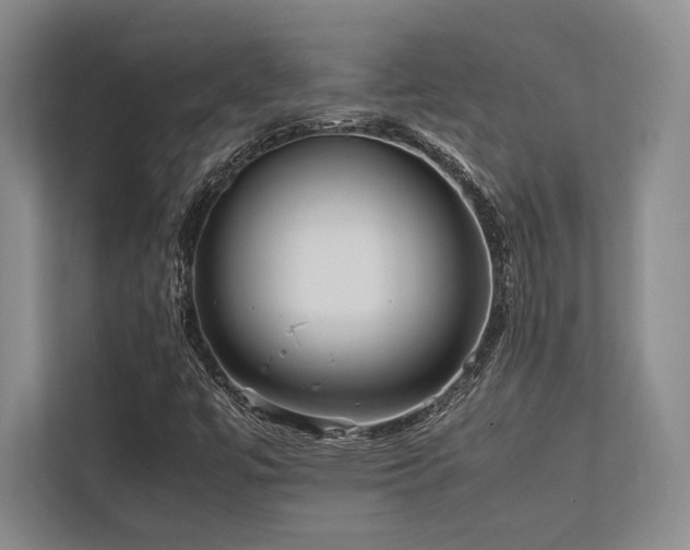 X0000113751447200909231122