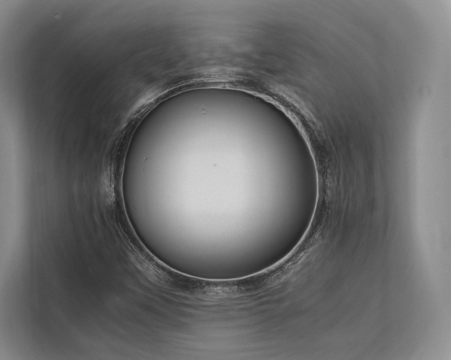 X0000113751451200909231121