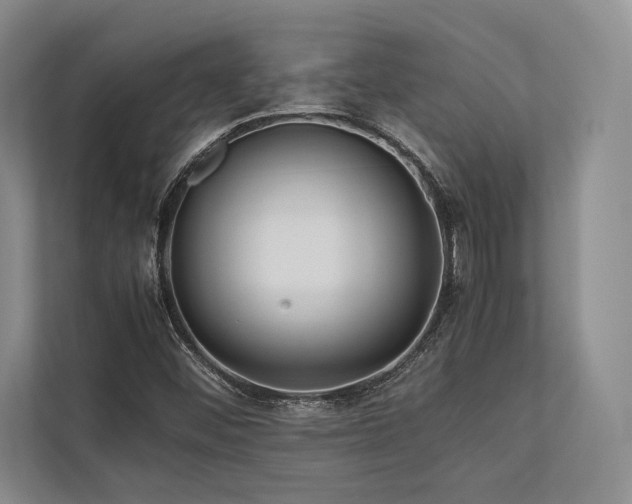 X0000113751452200909231121