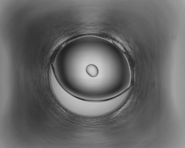 X0000113751453200909231121
