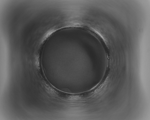 X0000113751455200909231121